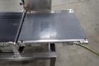Thompson Scale Company Check Weigher